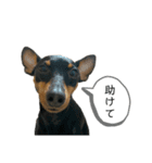 Bくんスタンプ2♡（個別スタンプ：4）