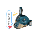 Bくんスタンプ2♡（個別スタンプ：6）