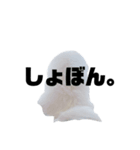 ゆきちくん❷（個別スタンプ：7）