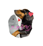 winerdog（個別スタンプ：4）