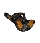 winerdog（個別スタンプ：6）