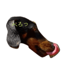 winerdog（個別スタンプ：8）