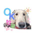 ミニチュアダックスはるくんのHappyLife（個別スタンプ：8）