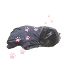 リーチと愉快な仲間たち（個別スタンプ：5）