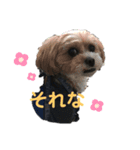 リーチと愉快な仲間たち（個別スタンプ：8）