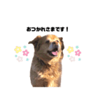 ほのぼのイヴちゃん（個別スタンプ：6）