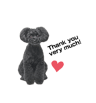 Blanc❤︎2020（個別スタンプ：1）