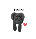 Blanc❤︎2020（個別スタンプ：3）