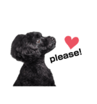 Blanc❤︎2020（個別スタンプ：6）