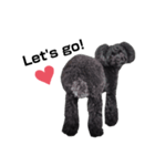 Blanc❤︎2020（個別スタンプ：7）
