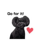 Blanc❤︎2020（個別スタンプ：11）