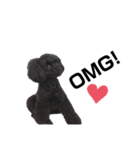 Blanc❤︎2020（個別スタンプ：12）