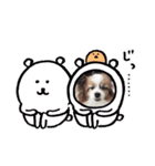 犬のロッキー4（個別スタンプ：4）