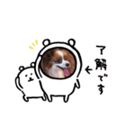 犬のロッキー4（個別スタンプ：5）