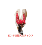 シュンシャンション（個別スタンプ：15）
