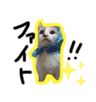 我が家のかわいいコたち-0（個別スタンプ：38）