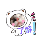 我が家のかわいいコたち-0（個別スタンプ：39）