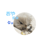 うちのだにえる君（個別スタンプ：8）