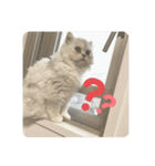 うちのだにえる君（個別スタンプ：19）