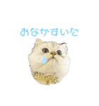 うちのだにえる君（個別スタンプ：24）