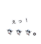 ぶいとさら うちのねこ（個別スタンプ：13）