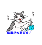 ココの感染予防スタンプ（個別スタンプ：6）