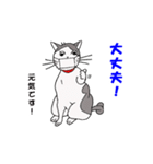 ココの感染予防スタンプ（個別スタンプ：14）