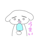 近所のしろいわんちゃん（個別スタンプ：12）