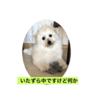 LOVEモフ（個別スタンプ：2）