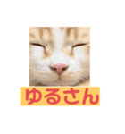 ふて猫ちくりん（個別スタンプ：1）