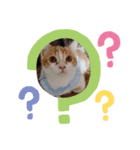 ふて猫ちくりん（個別スタンプ：3）