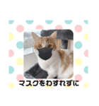 ふて猫ちくりん（個別スタンプ：4）