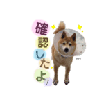 天使のくっくちゃん2（個別スタンプ：2）