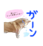 天使のくっくちゃん2（個別スタンプ：5）