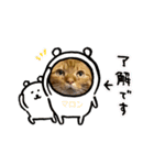 マロン＆ティアラの巻（個別スタンプ：1）
