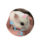 すず ハムスターラブリースタンプ（個別スタンプ：3）