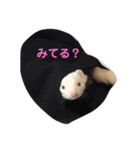 フェレットはなちゃんかわいいスタンプ（個別スタンプ：1）
