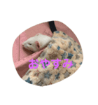 フェレットはなちゃんかわいいスタンプ（個別スタンプ：3）