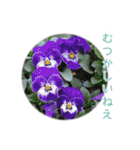 花と共に、優しく寄り添う励ましの言葉（個別スタンプ：9）