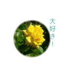 花と共に、優しく寄り添う励ましの言葉（個別スタンプ：30）