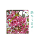 花と共に、優しく寄り添う励ましの言葉（個別スタンプ：35）