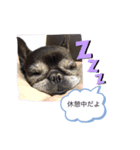 BUHI BUHI ダリア（個別スタンプ：6）