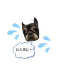BUHI BUHI ダリア（個別スタンプ：8）
