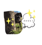 BUHI BUHI ダリア（個別スタンプ：9）