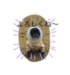 BUHI BUHI ダリア（個別スタンプ：10）