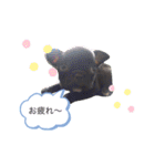 BUHI BUHI ダリア（個別スタンプ：12）