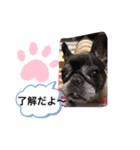 BUHI BUHI ダリア（個別スタンプ：13）