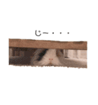 うさもる日常会話2（個別スタンプ：18）