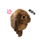 うさもる日常会話2（個別スタンプ：20）