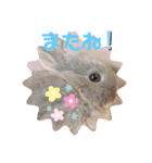うさぎのごまちゃん和み編（個別スタンプ：8）